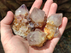 Natural Cactus Flower Phantom Amethyst Spirit Clusters x 12 From South Africa - Toprock Gemstones and Minerals 