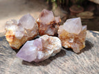 Natural Cactus Flower Phantom Amethyst Spirit Clusters x 12 From South Africa - Toprock Gemstones and Minerals 