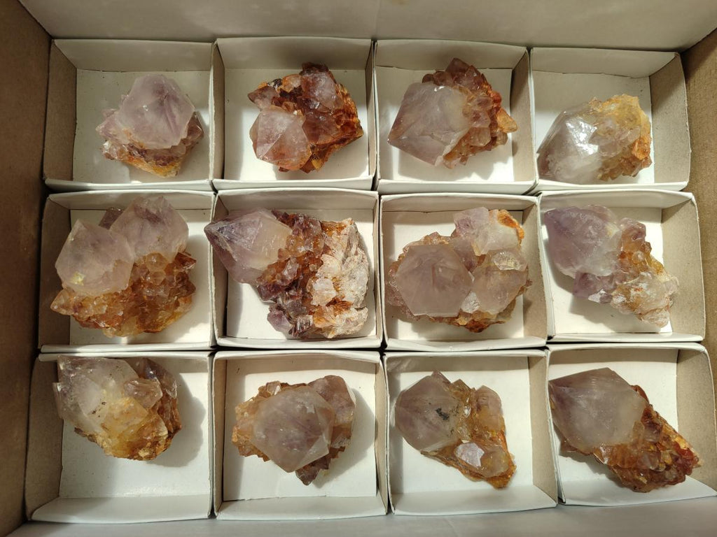 Natural Cactus Flower Phantom Amethyst Spirit Clusters x 12 From South Africa - Toprock Gemstones and Minerals 