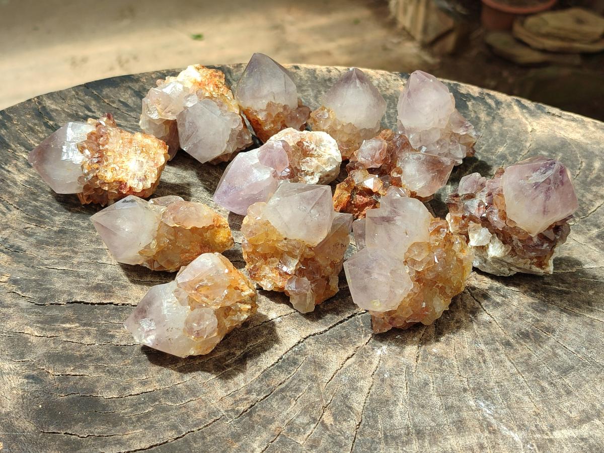 Natural Cactus Flower Phantom Amethyst Spirit Clusters x 12 From South Africa - Toprock Gemstones and Minerals 