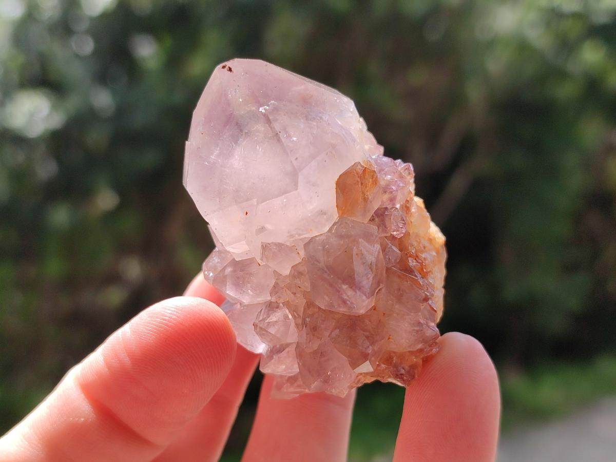 Natural Cactus Flower Phantom Amethyst Spirit Clusters x 12 From South Africa - Toprock Gemstones and Minerals 