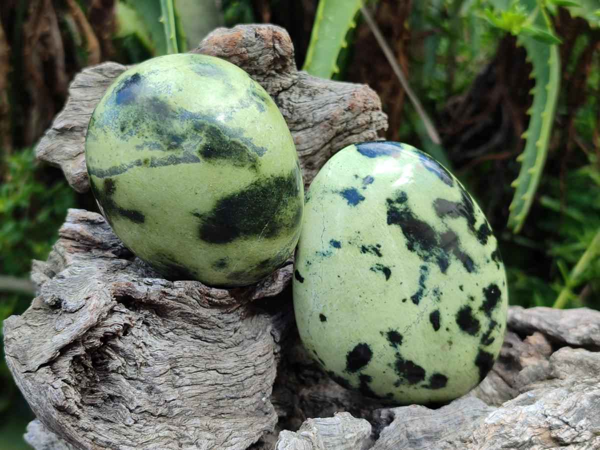 Polished Large Leopard Stone Palm Stones x 7 From Zimbabwe - Toprock Gemstones and Minerals 
