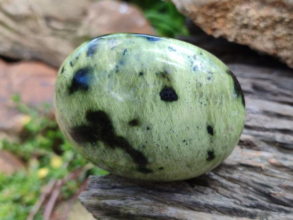 Polished Large Leopard Stone Palm Stones x 7 From Zimbabwe - Toprock Gemstones and Minerals 