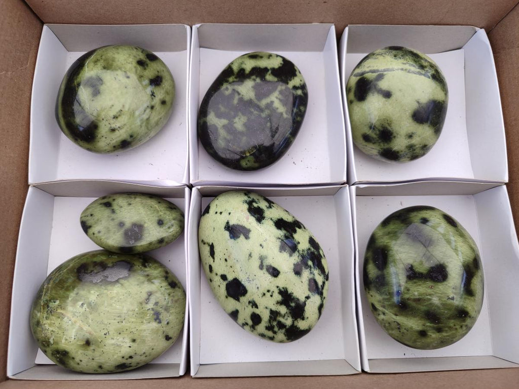 Polished Large Leopard Stone Palm Stones x 7 From Zimbabwe - Toprock Gemstones and Minerals 