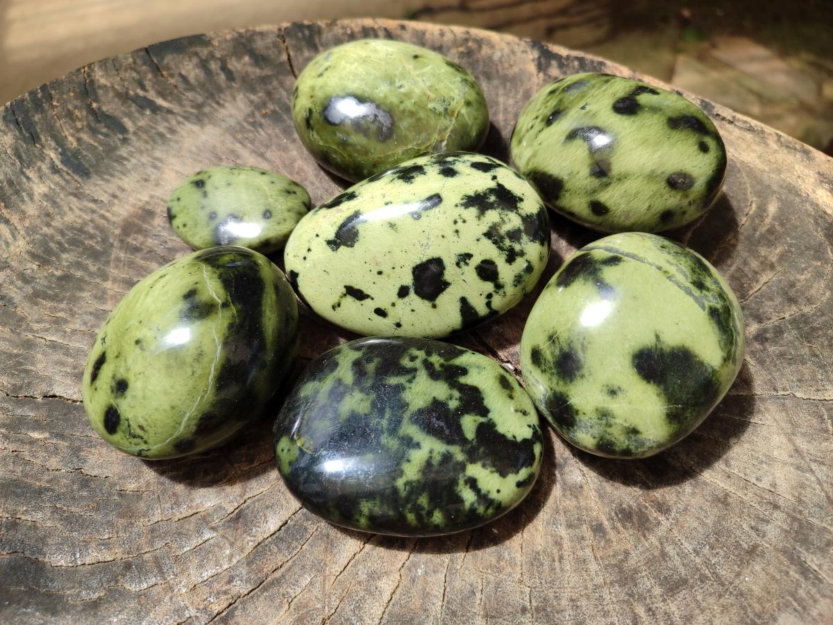 Polished Large Leopard Stone Palm Stones x 7 From Zimbabwe - Toprock Gemstones and Minerals 