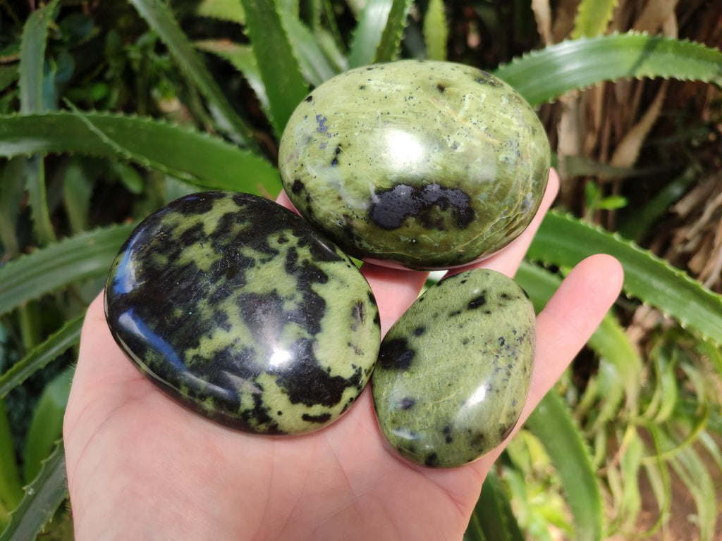 Polished Large Leopard Stone Palm Stones x 7 From Zimbabwe - Toprock Gemstones and Minerals 