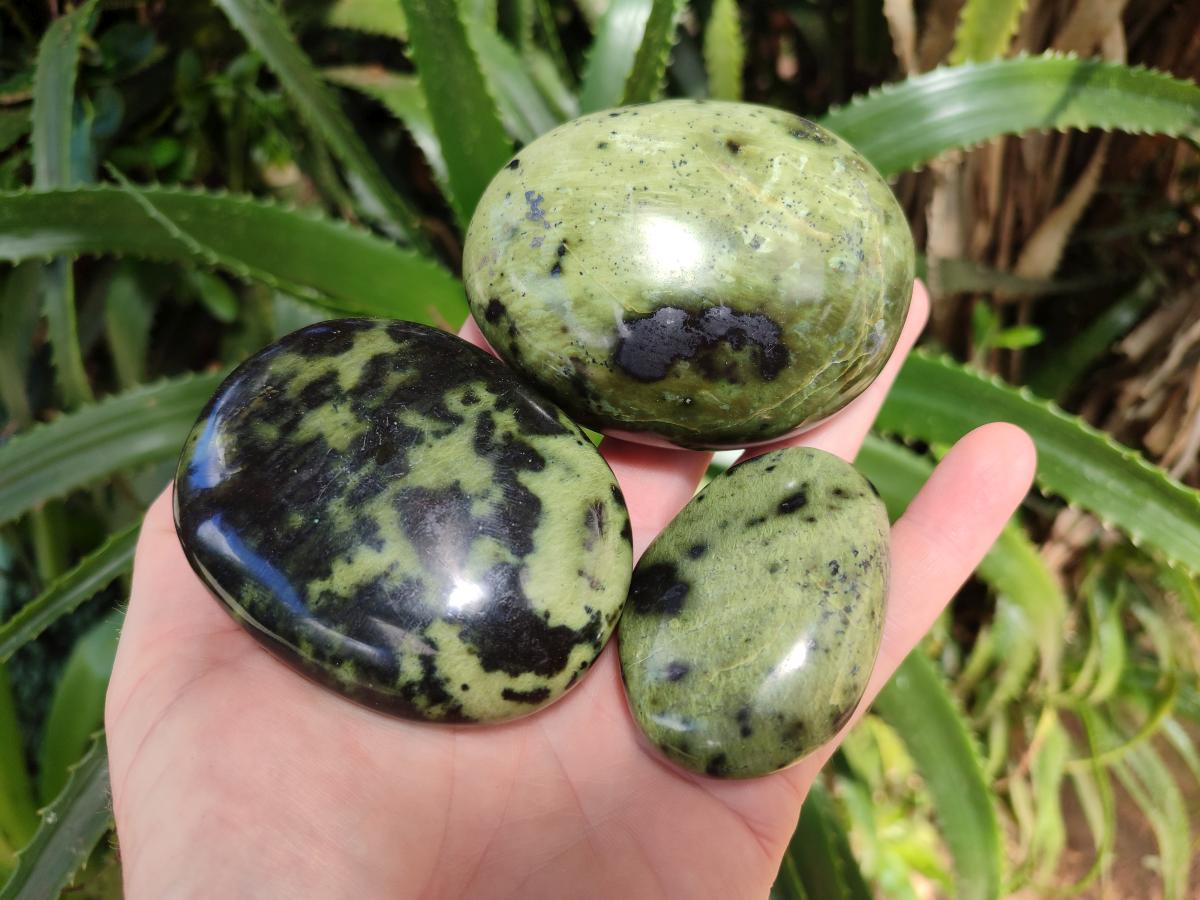 Polished Large Leopard Stone Palm Stones x 7 From Zimbabwe - Toprock Gemstones and Minerals 