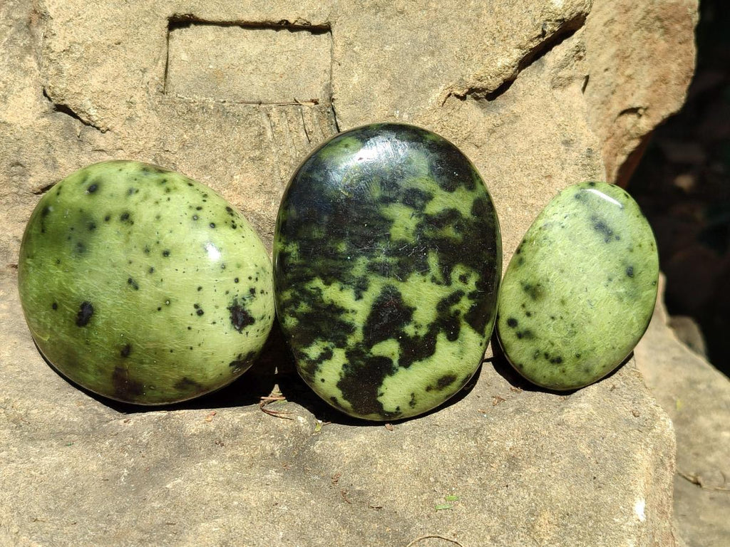 Polished Large Leopard Stone Palm Stones x 7 From Zimbabwe - Toprock Gemstones and Minerals 