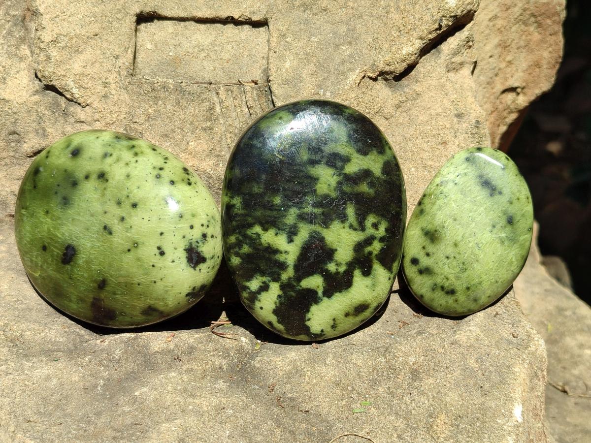 Polished Large Leopard Stone Palm Stones x 7 From Zimbabwe - Toprock Gemstones and Minerals 