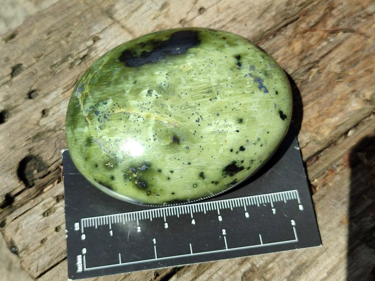 Polished Large Leopard Stone Palm Stones x 7 From Zimbabwe - Toprock Gemstones and Minerals 