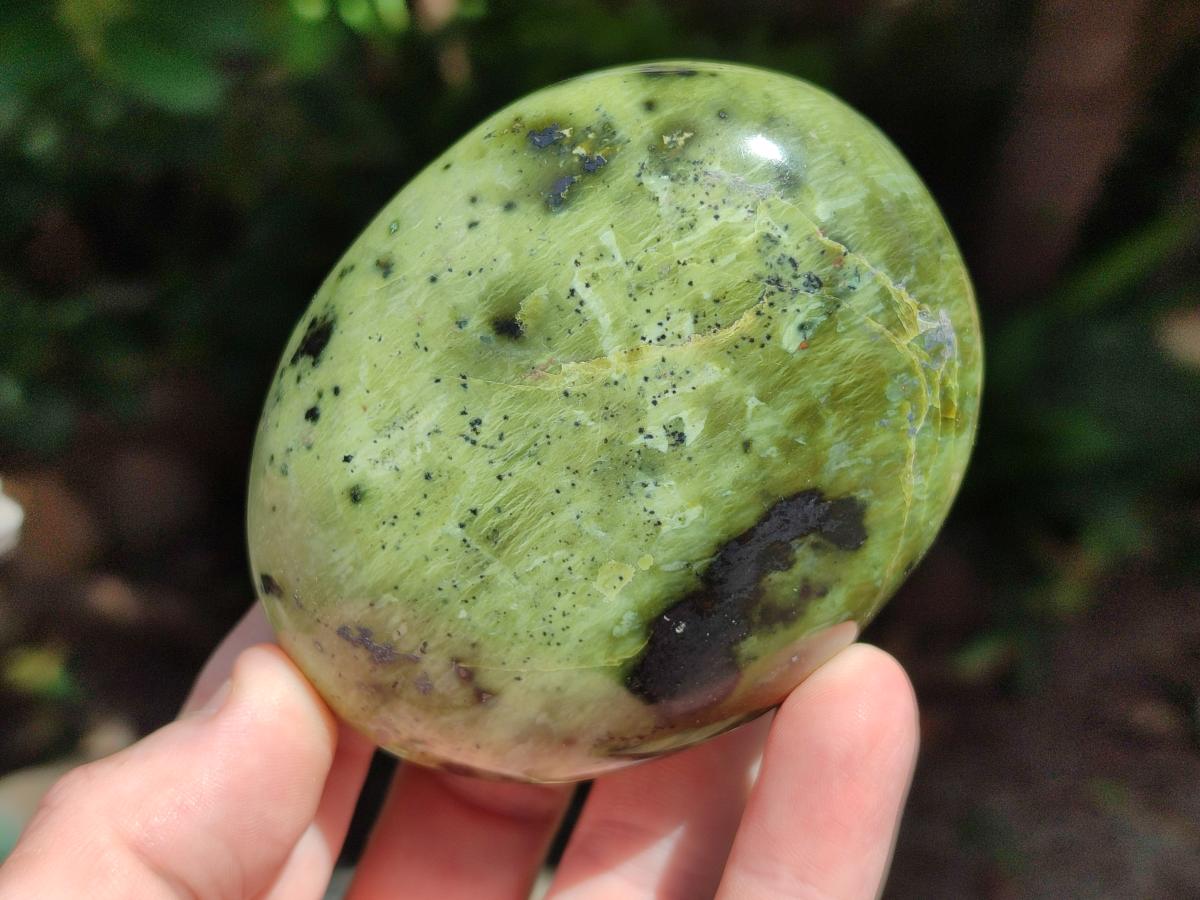 Polished Large Leopard Stone Palm Stones x 7 From Zimbabwe - Toprock Gemstones and Minerals 