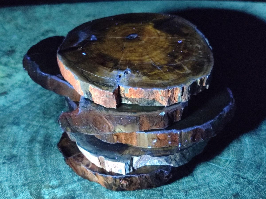 Polished Dadoxylon Petrified Wood Slices x 6 From Gokwe, Zimbabwe - Toprock Gemstones and Minerals 