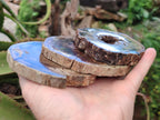 Polished Dadoxylon Petrified Wood Slices x 6 From Gokwe, Zimbabwe - Toprock Gemstones and Minerals 