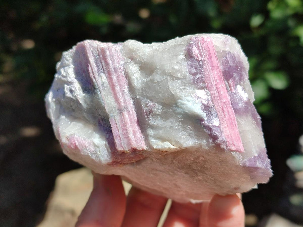 Natural Pink Rubellite Tourmaline Specimens x 6 From Karibib, Namibia - Toprock Gemstones and Minerals 