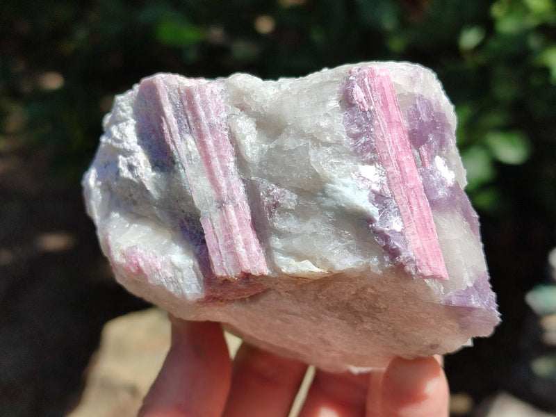 Natural Pink Rubellite Tourmaline Specimens x 6 From Karibib, Namibia - Toprock Gemstones and Minerals 