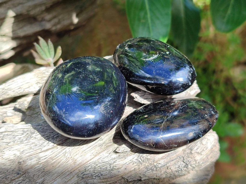 Polished Black Tourmaline Galets x 24 From Madagascar - Toprock Gemstones and Minerals 