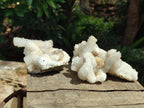 Natural Drusy Snow Finger Quartz Coated Clusters x 4 From Albert's Mountain, Lesotho - Toprock Gemstones and Minerals 