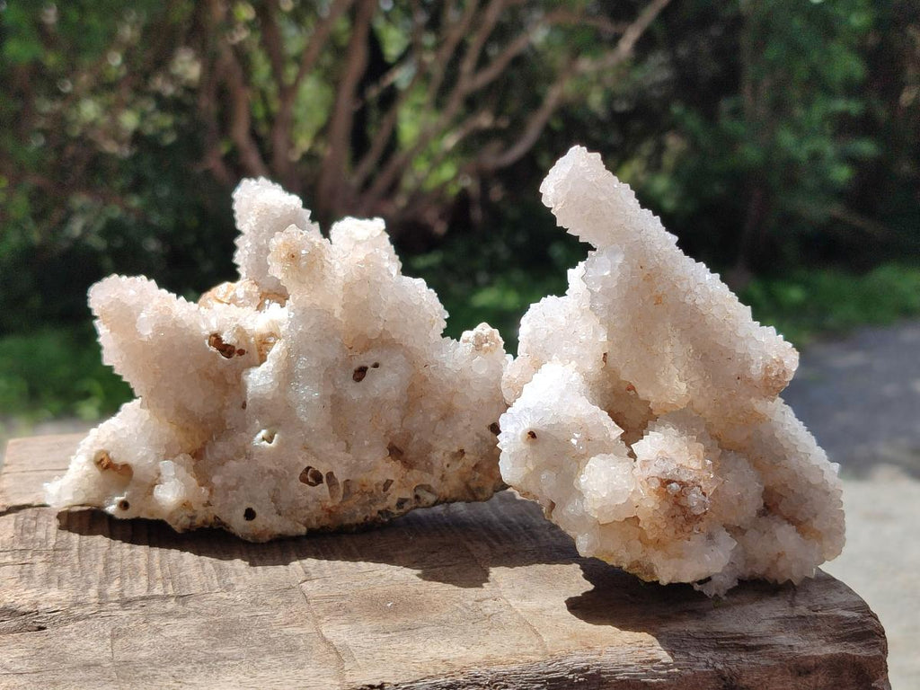 Natural Drusy Snow Finger Quartz Coated Clusters x 4 From Albert's Mountain, Lesotho - Toprock Gemstones and Minerals 