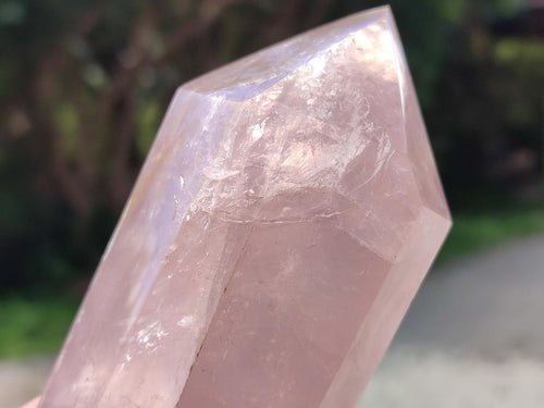Polished Double Terminated Gemmy Rose Quartz Crystals x 2 From Madagascar - Toprock Gemstones and Minerals 