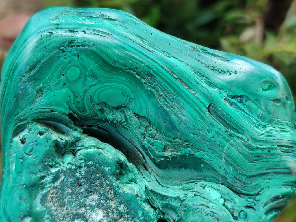 Polished Flower Banded Malachite Free Forms x 6 From Congo - Toprock Gemstones and Minerals 