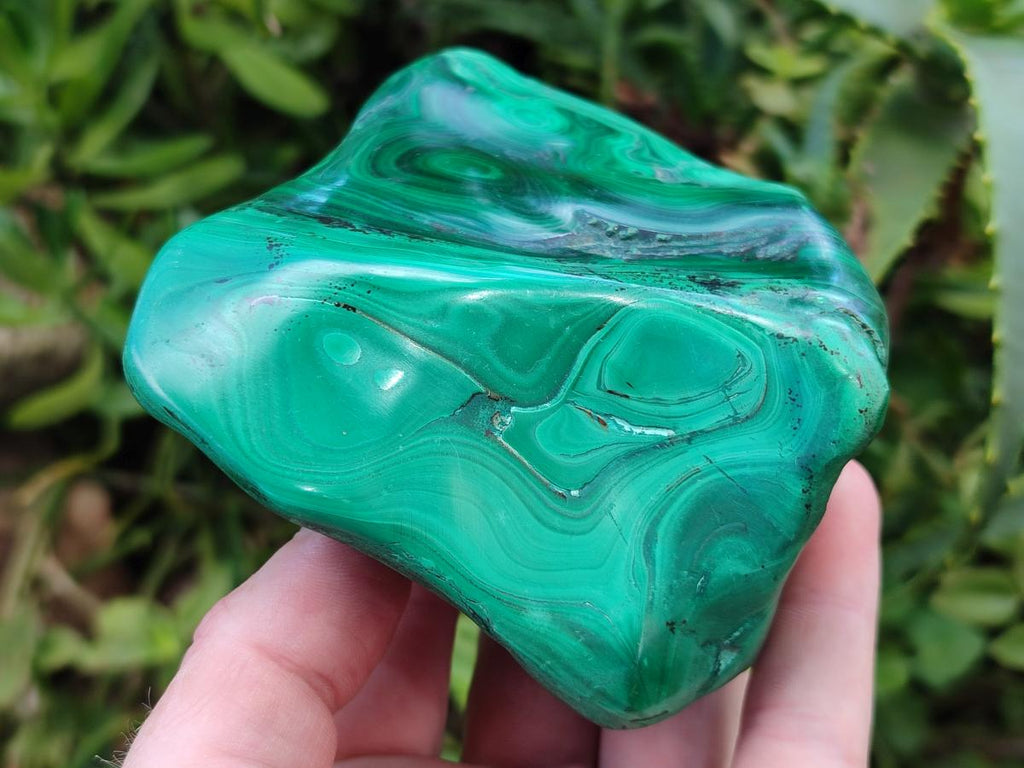 Polished Flower Banded Malachite Free Forms x 6 From Congo - Toprock Gemstones and Minerals 