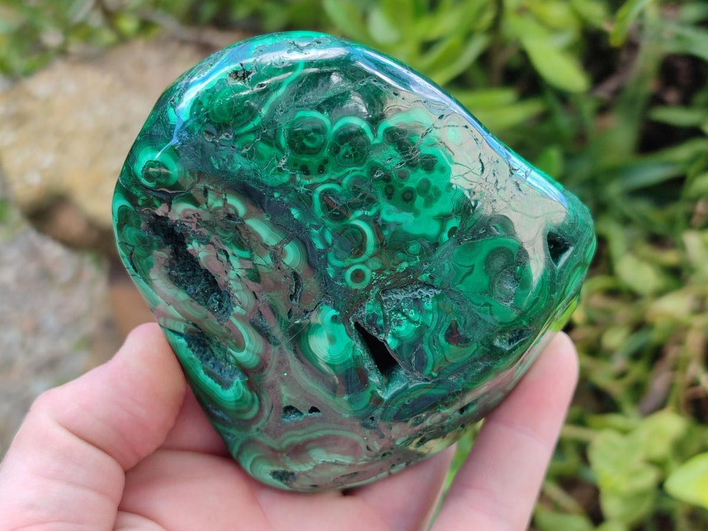 Polished Flower Banded Malachite Free Forms x 6 From Congo - Toprock Gemstones and Minerals 