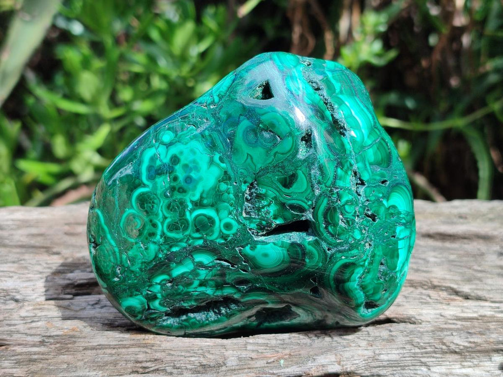 Polished Flower Banded Malachite Free Forms x 6 From Congo - Toprock Gemstones and Minerals 