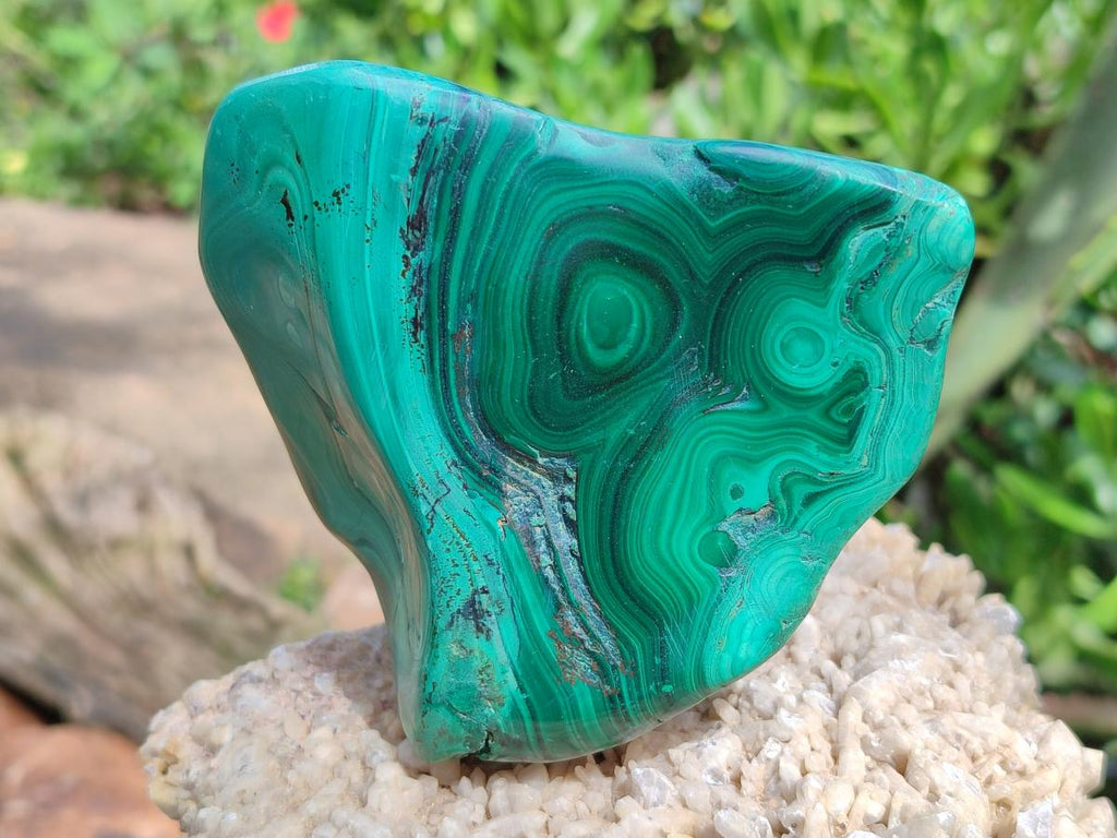 Polished Flower Banded Malachite Free Forms x 6 From Congo - Toprock Gemstones and Minerals 
