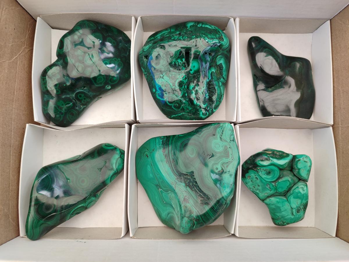 Polished Flower Banded Malachite Free Forms x 6 From Congo - Toprock Gemstones and Minerals 