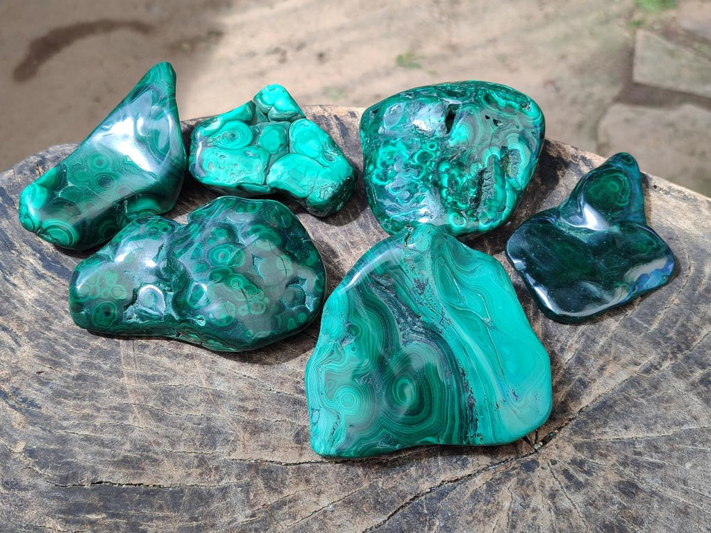 Polished Flower Banded Malachite Free Forms x 6 From Congo - Toprock Gemstones and Minerals 