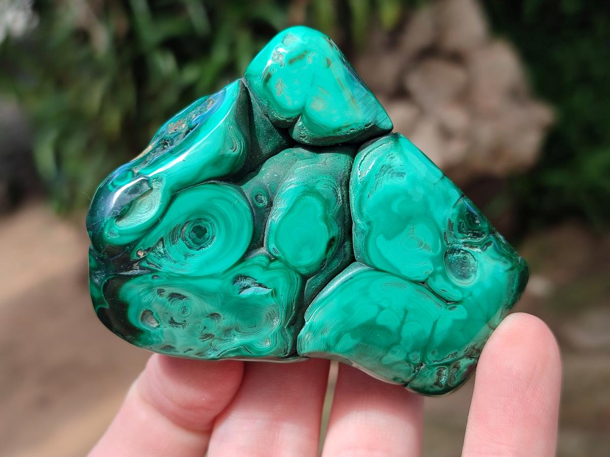Polished Flower Banded Malachite Free Forms x 6 From Congo - Toprock Gemstones and Minerals 