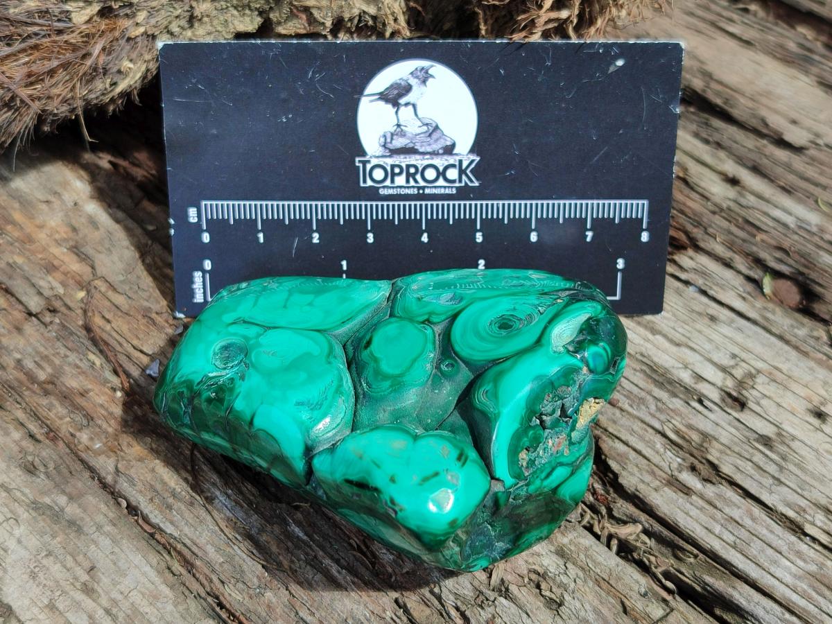 Polished Flower Banded Malachite Free Forms x 6 From Congo - Toprock Gemstones and Minerals 