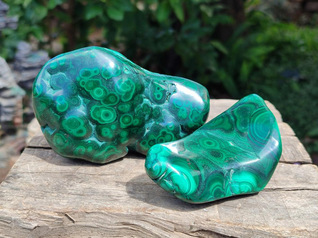 Polished Flower Banded Malachite Free Forms x 6 From Congo - Toprock Gemstones and Minerals 