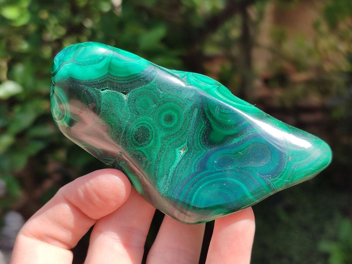 Polished Flower Banded Malachite Free Forms x 6 From Congo - Toprock Gemstones and Minerals 