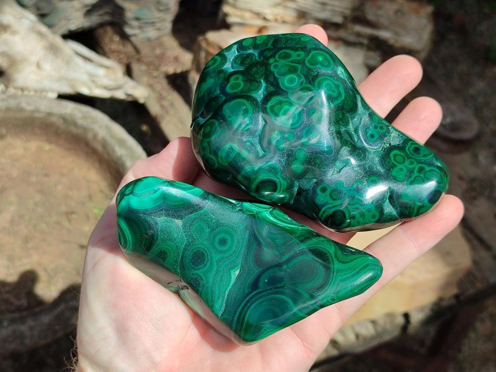 Polished Flower Banded Malachite Free Forms x 6 From Congo - Toprock Gemstones and Minerals 