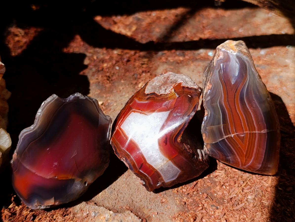 Polished One Side Red Shashe River Agate Nodules x 12 From Shashe River, Zimbabwe - Toprock Gemstones and Minerals 