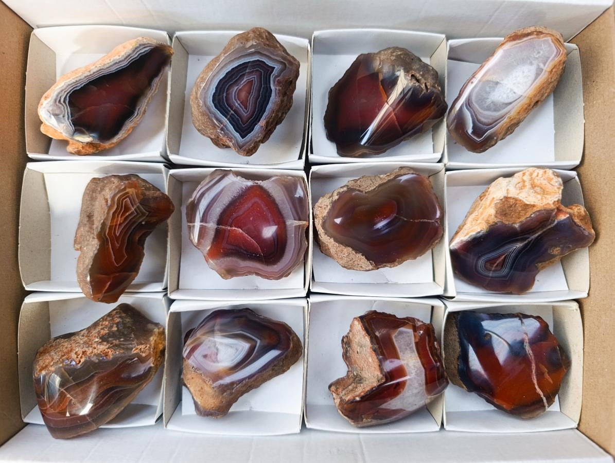 Polished One Side Red Shashe River Agate Nodules x 12 From Shashe River, Zimbabwe - Toprock Gemstones and Minerals 