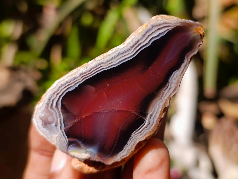 Polished One Side Red Shashe River Agate Nodules x 12 From Shashe River, Zimbabwe - Toprock Gemstones and Minerals 