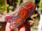 Polished One Side Red Shashe River Agate Nodules x 12 From Shashe River, Zimbabwe - Toprock Gemstones and Minerals 