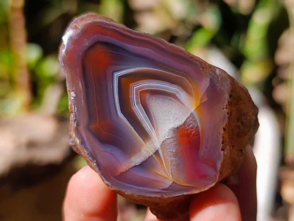 Polished One Side Red Shashe River Agate Nodules x 12 From Shashe River, Zimbabwe - Toprock Gemstones and Minerals 