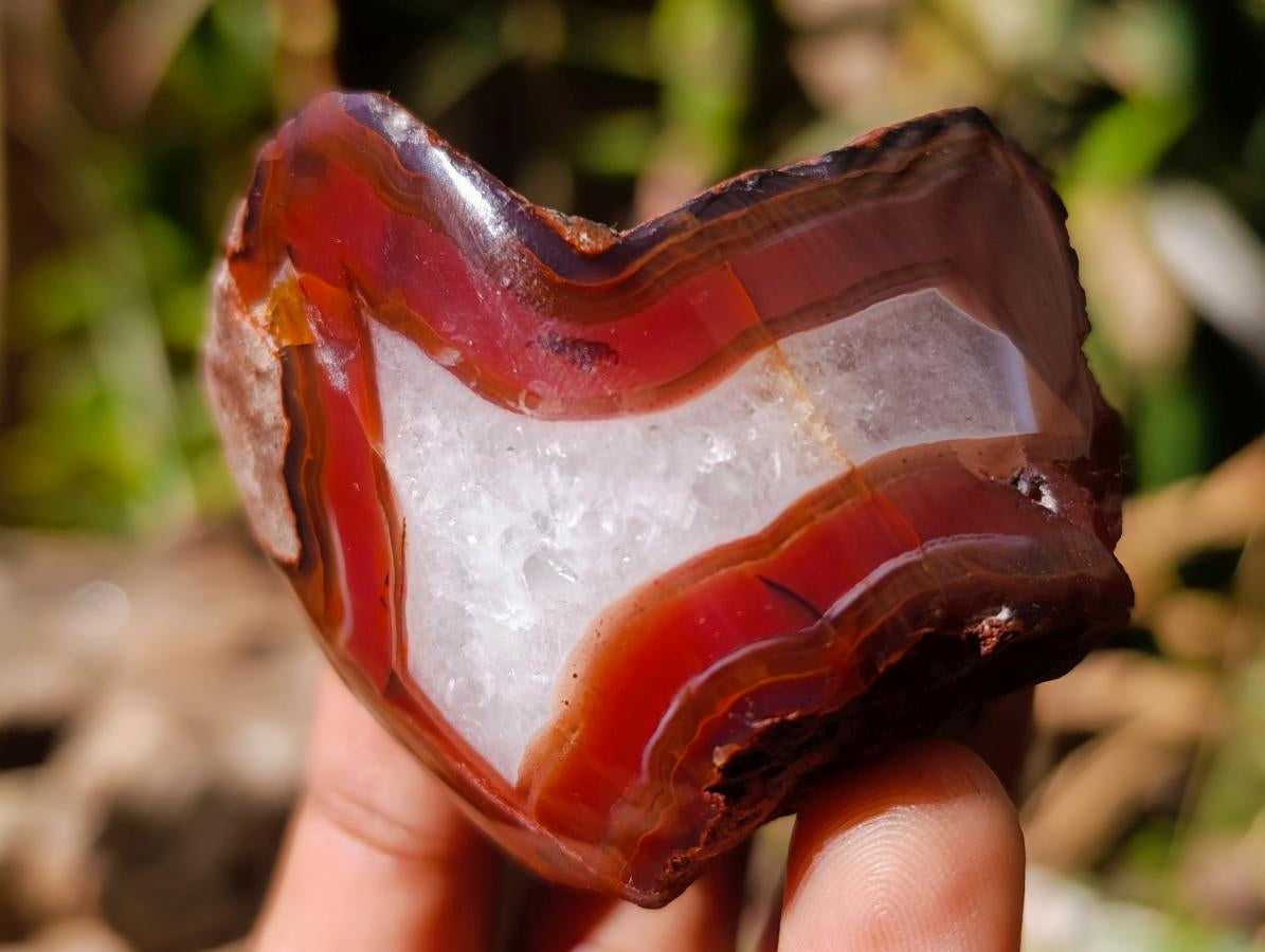 Polished One Side Red Shashe River Agate Nodules x 12 From Shashe River, Zimbabwe - Toprock Gemstones and Minerals 