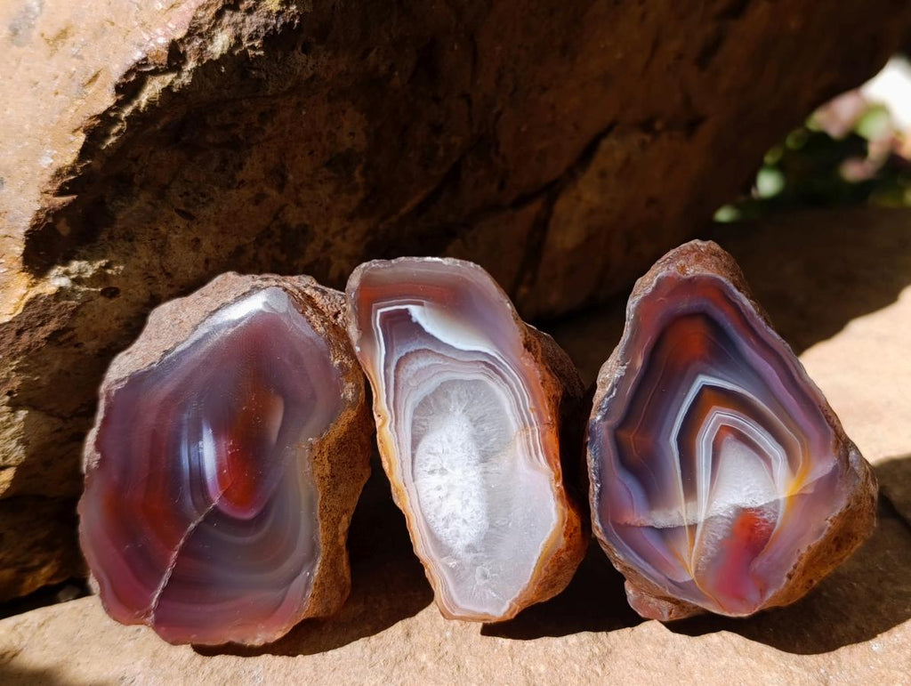 Polished One Side Red Shashe River Agate Nodules x 12 From Shashe River, Zimbabwe - Toprock Gemstones and Minerals 