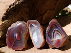 Polished One Side Red Shashe River Agate Nodules x 12 From Shashe River, Zimbabwe - Toprock Gemstones and Minerals 