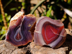 Polished One Side Red Shashe River Agate Nodules x 12 From Shashe River, Zimbabwe - Toprock Gemstones and Minerals 