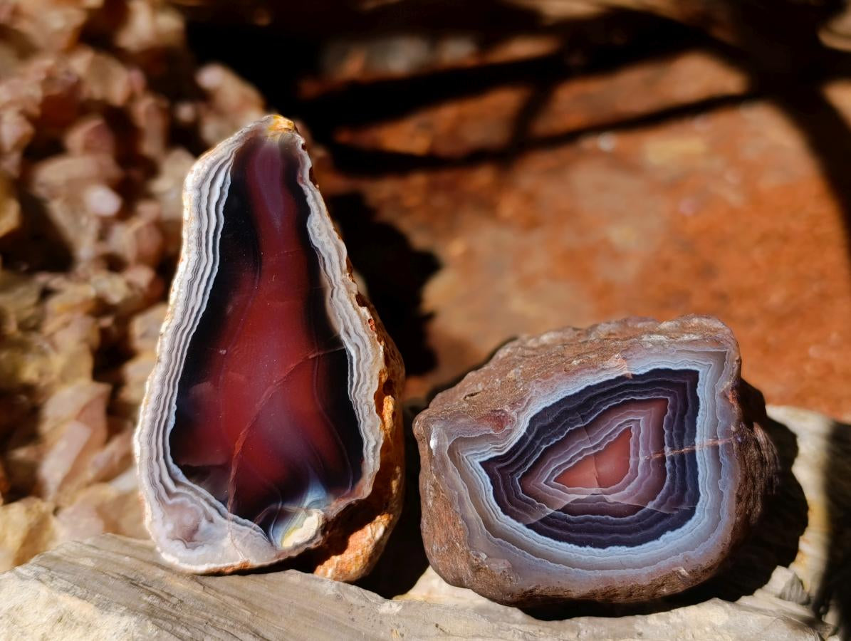 Polished One Side Red Shashe River Agate Nodules x 12 From Shashe River, Zimbabwe - Toprock Gemstones and Minerals 