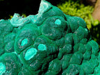 Natural XL Museum Botryoidal Malachite Specimen x 1 From Congo - Toprock Gemstones and Minerals 