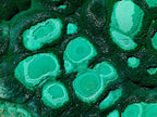 Natural XL Museum Botryoidal Malachite Specimen x 1 From Congo - Toprock Gemstones and Minerals 