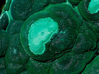 Natural XL Museum Botryoidal Malachite Specimen x 1 From Congo - Toprock Gemstones and Minerals 