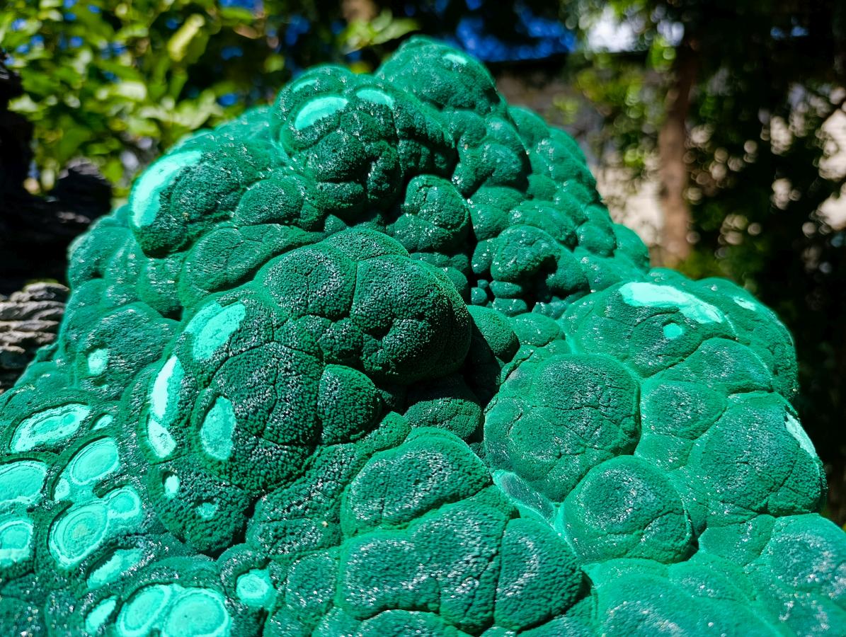 Natural XL Museum Botryoidal Malachite Specimen x 1 From Congo - Toprock Gemstones and Minerals 