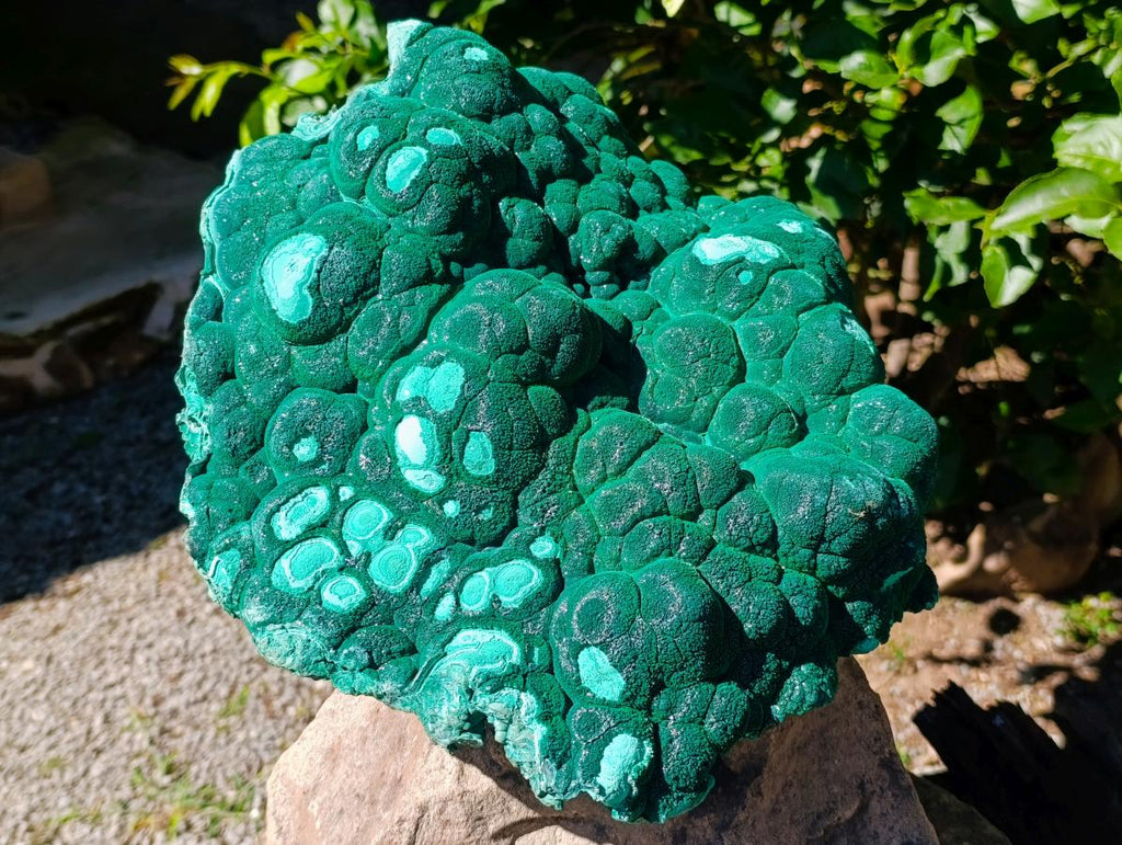Natural XL Museum Botryoidal Malachite Specimen x 1 From Congo - Toprock Gemstones and Minerals 